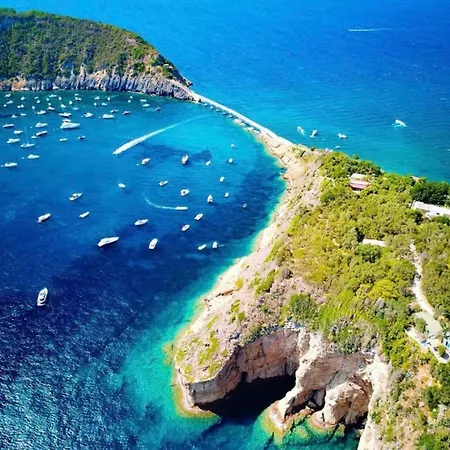 Couette-café New Latt E Lett 3*